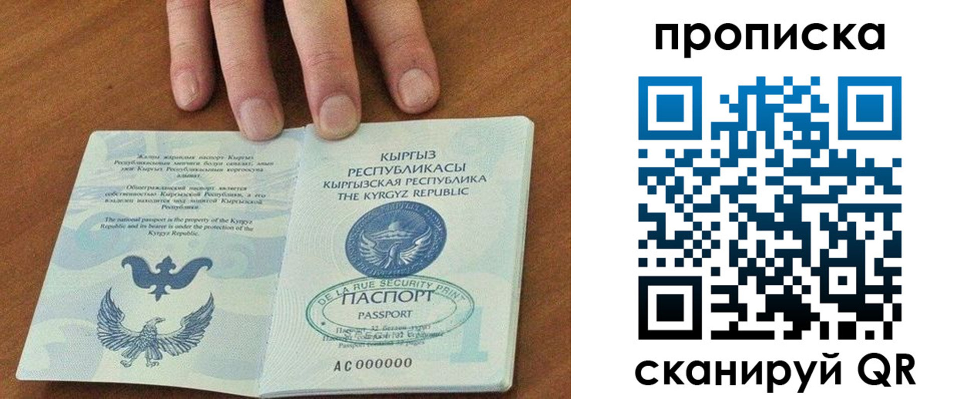 прописка гарантия в Видном